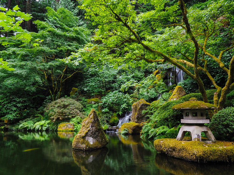 Long exposure photo taken in the Portland Japanese Gardens. A view of the pond, waterfall and trees behind it.