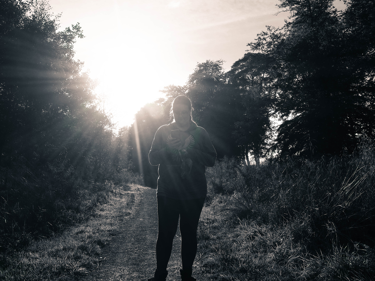 Person standing on a forest path, backlit by sunlight.