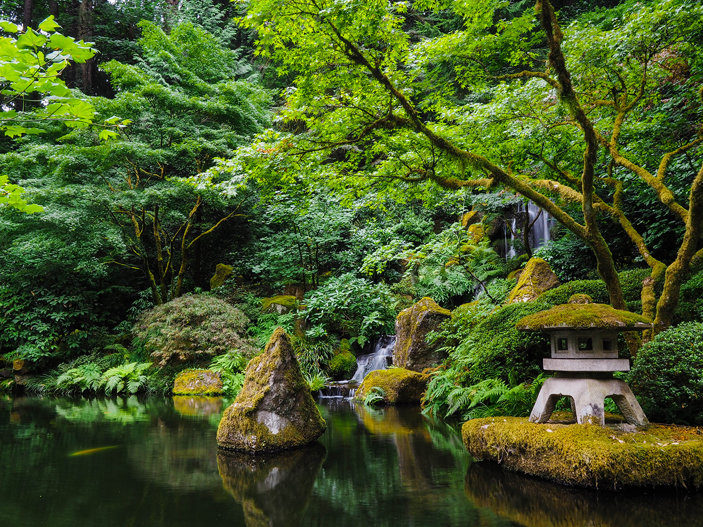 Long exposure photo of a pond taken in the Portland Japanese Gardens.